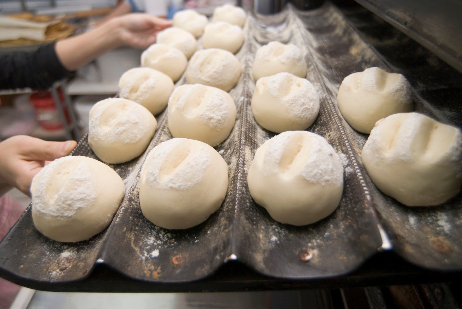 Tabuleiro com bolas de massa de pão enfarinhadas numa linha de produção de padaria industrial